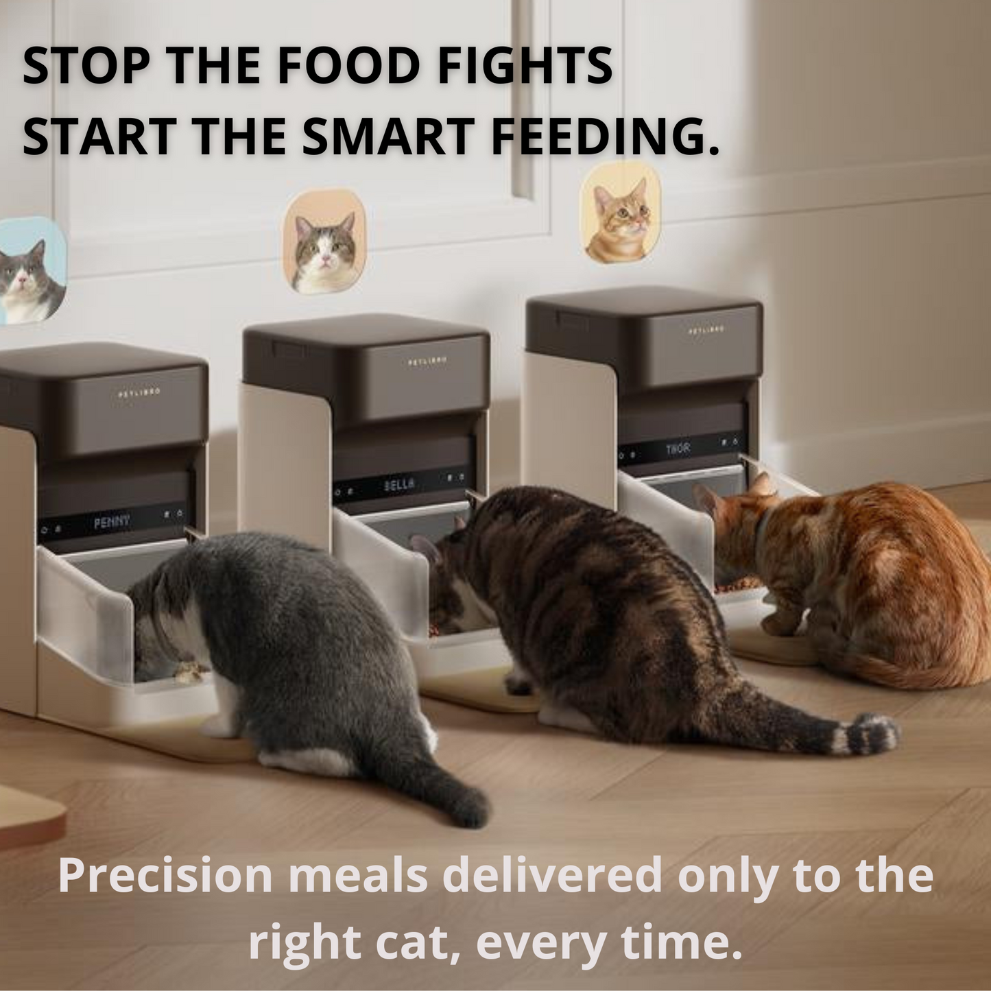 IntelliServe RFID Cat Feeder